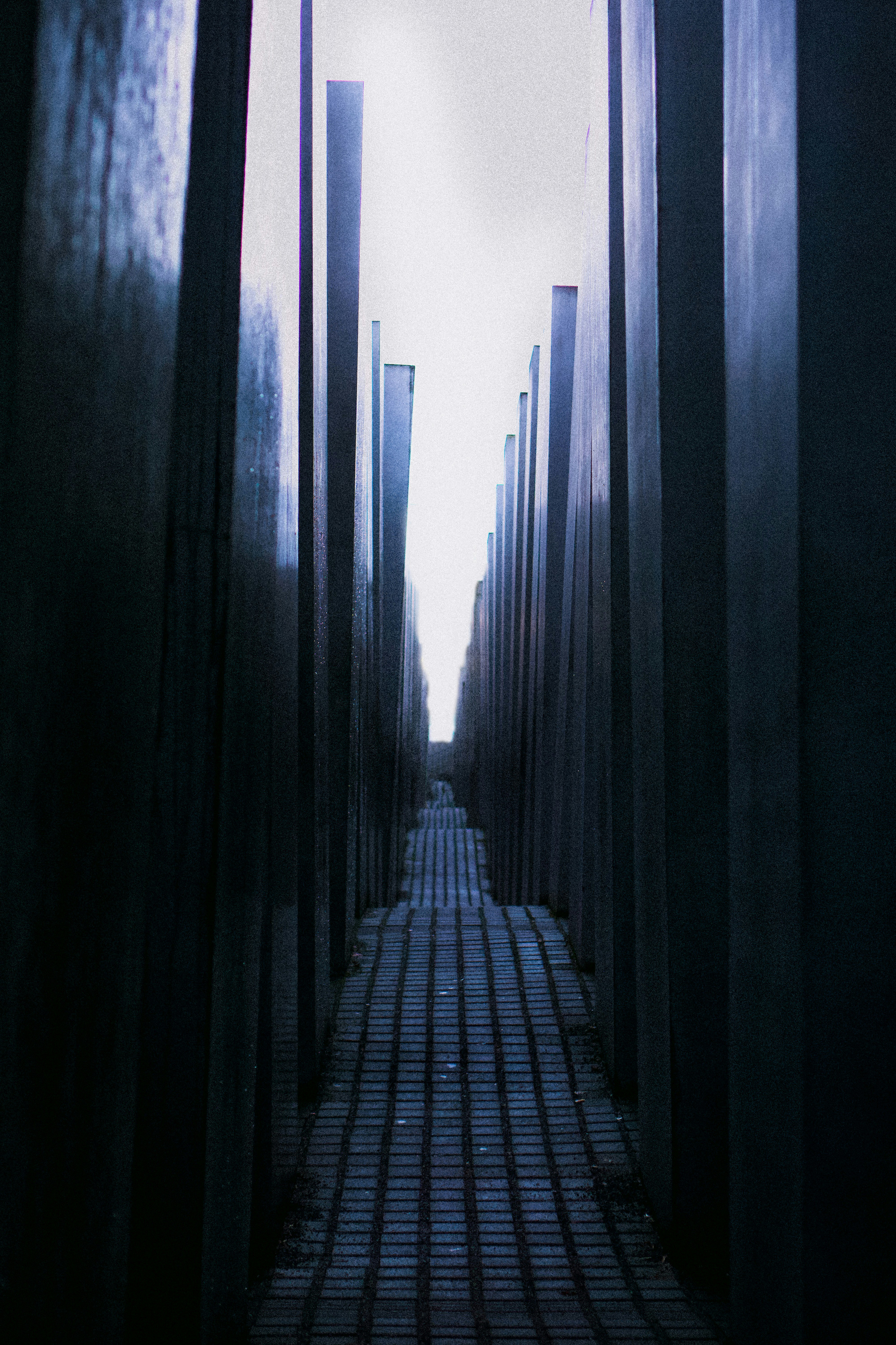 gray pathway in between high-rise buildings